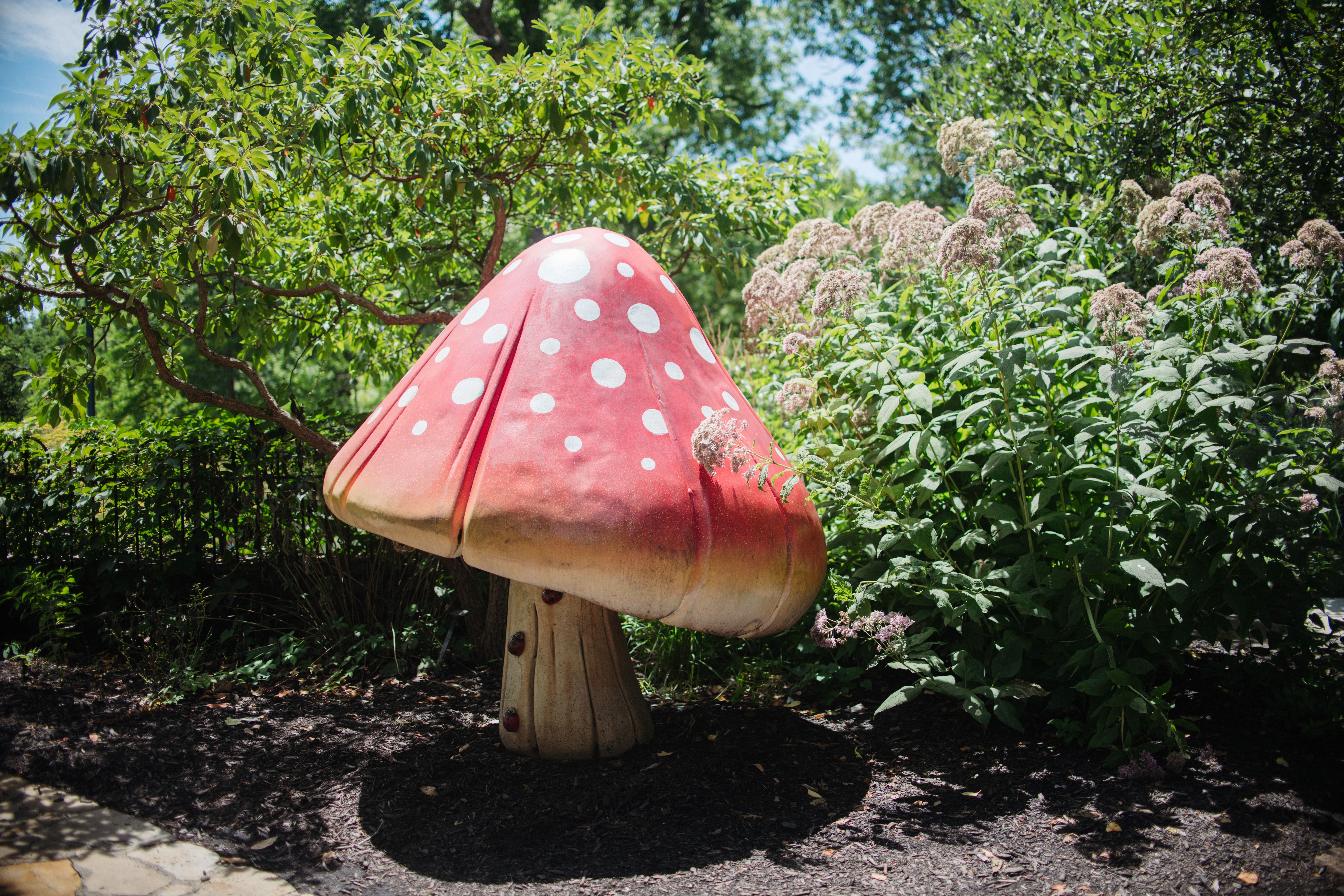 Storybook Weekend: Alice's Adventures in Wonderland image